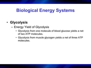 Biological Energy Systems 
• Glycolysis 
– Energy Yield of Glycolysis 
• Glycolysis from one molecule of blood glucose yields a net 
of two ATP molecules. 
• Glycolysis from muscle glycogen yields a net of three ATP 
molecules. 
 