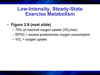Low-Intensity, Steady-State 
Exercise Metabolism 
• Figure 2.8 (next slide) 
– 75% of maximal oxygen uptake (VOmax) 
2– EPOC = excess postexercise oxygen consumption 
. 
– VO= oxygen uptake 
2 . 
 