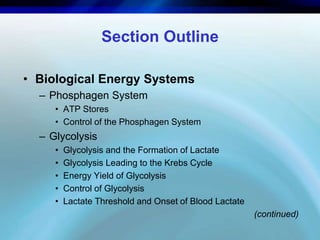Section Outline 
• Biological Energy Systems 
– Phosphagen System 
• ATP Stores 
• Control of the Phosphagen System 
– Glycolysis 
• Glycolysis and the Formation of Lactate 
• Glycolysis Leading to the Krebs Cycle 
• Energy Yield of Glycolysis 
• Control of Glycolysis 
• Lactate Threshold and Onset of Blood Lactate 
(continued) 
 