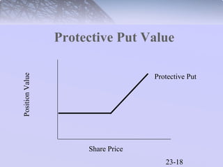 Protective Put Value 
23-18 
Share Price 
Position Value 
Protective Put 
 