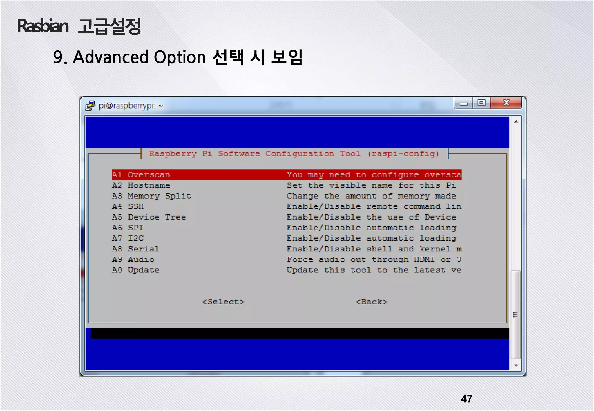 Rasbian 고급설정 47 9. Advanced Option 선택 시 보임 