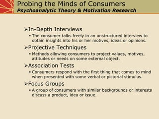 Chap04 Perspectives On Consumer Behavior