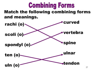 Muscular Skeletal System | PPT