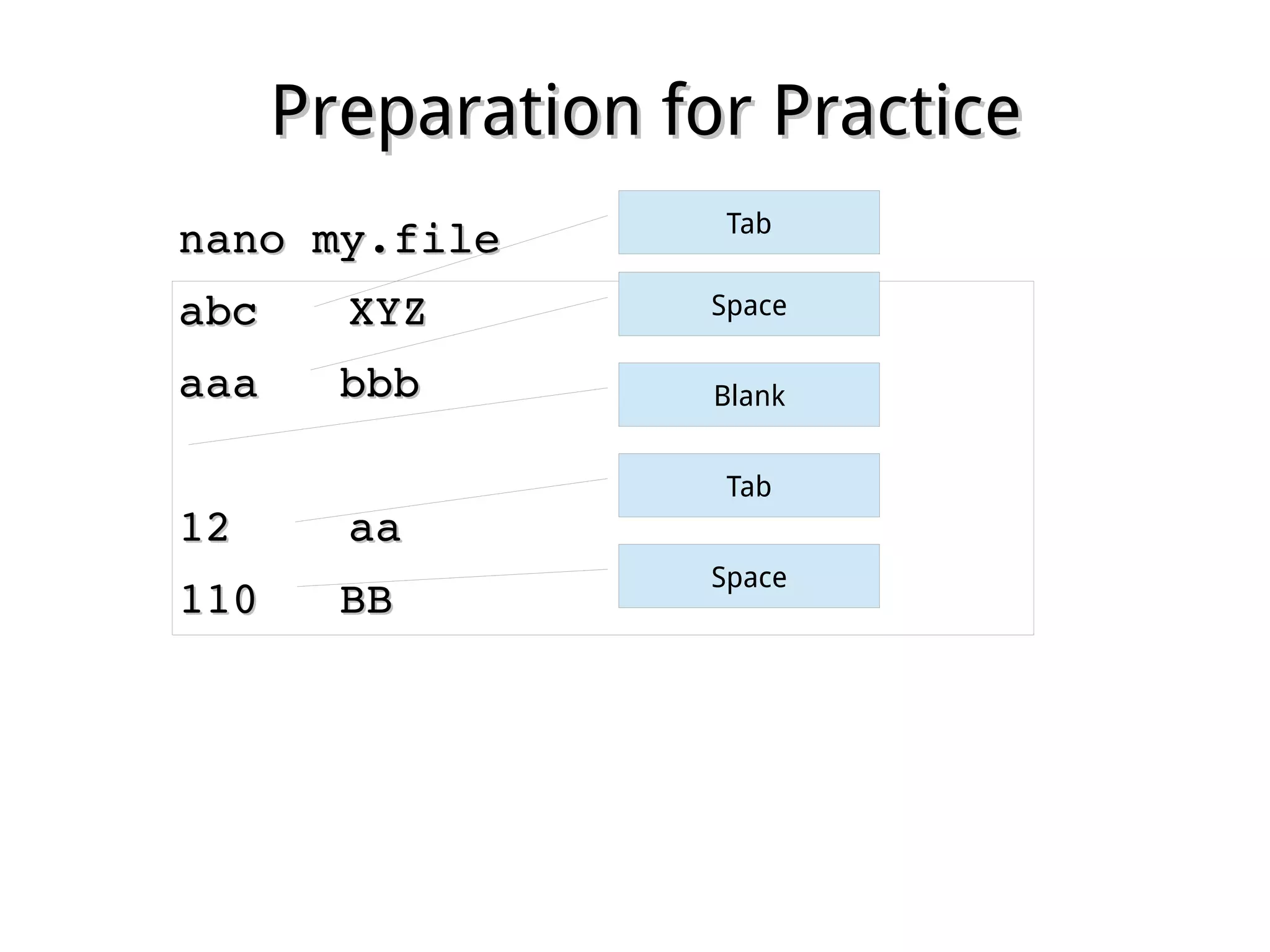 Preparation for PracticePreparation for Practice
nano my.filenano my.file
abcabc XYZXYZ
aaa   bbbaaa   bbb
1212 aaaa
110   BB110   BB
Tab
Space
Blank
Tab
Space
 