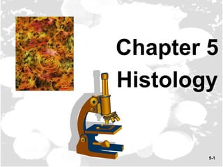 5-1
Chapter 5
Histology
 