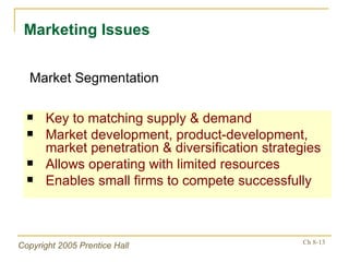 Key to matching supply & demand Market development, product-development, market penetration & diversification strategies Allows operating with limited resources Enables small firms to compete successfully Marketing Issues Market Segmentation 