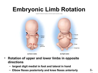 Chap08 Skeletal System | PPT