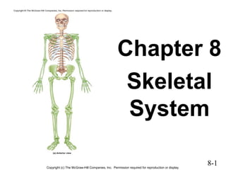8-1
Chapter 8
Skeletal
System
Copyright (c) The McGraw-Hill Companies, Inc. Permission required for reproduction or display.
 