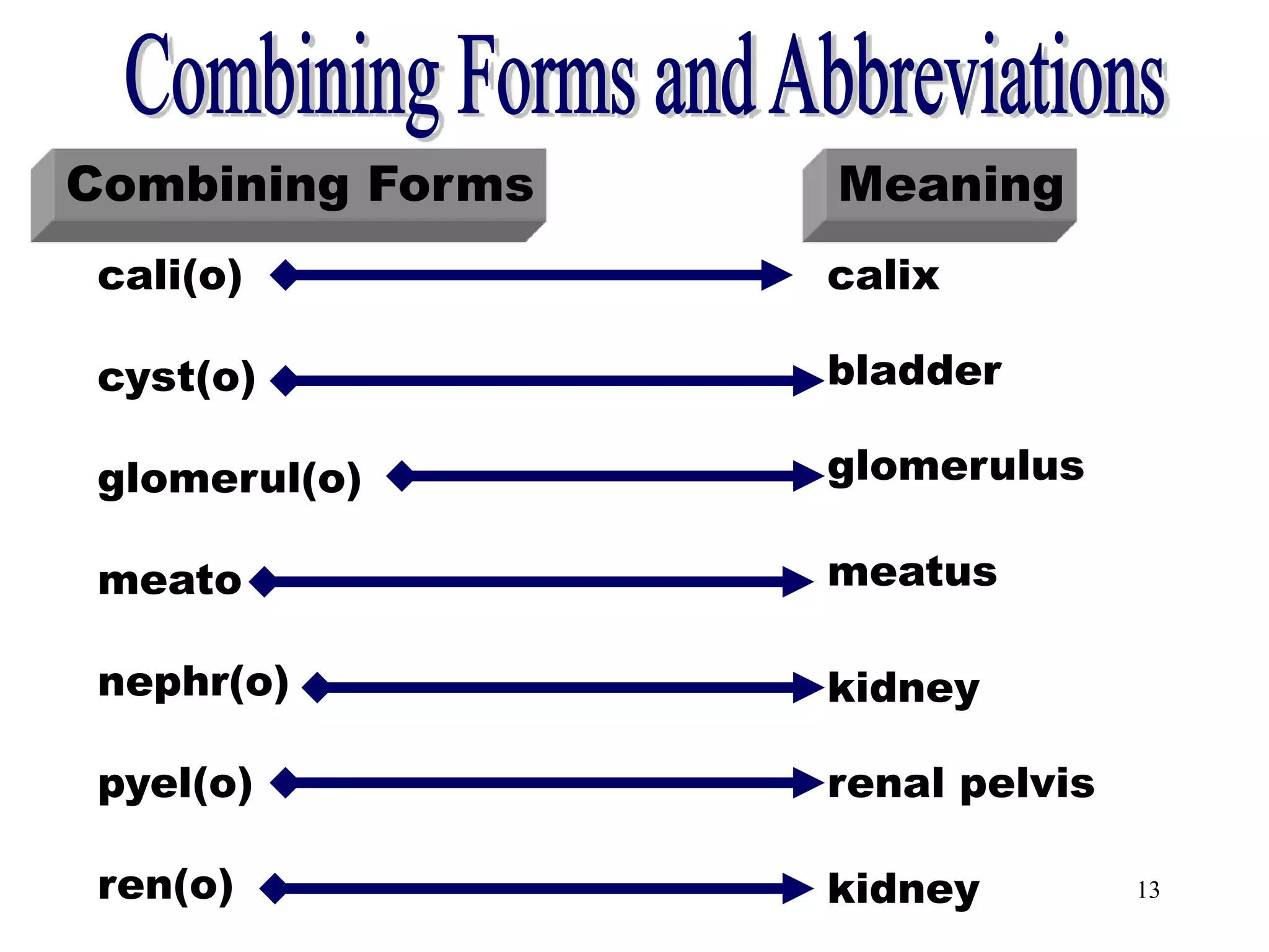 13
Combining Forms and
Abbreviations
Combining Forms Meaning
cali(o)
cyst(o)
glomerul(o)
meato
nephr(o)
pyel(o)
ren(o)
calix
bladder
glomerulus
meatus
kidney
renal pelvis
kidney
 