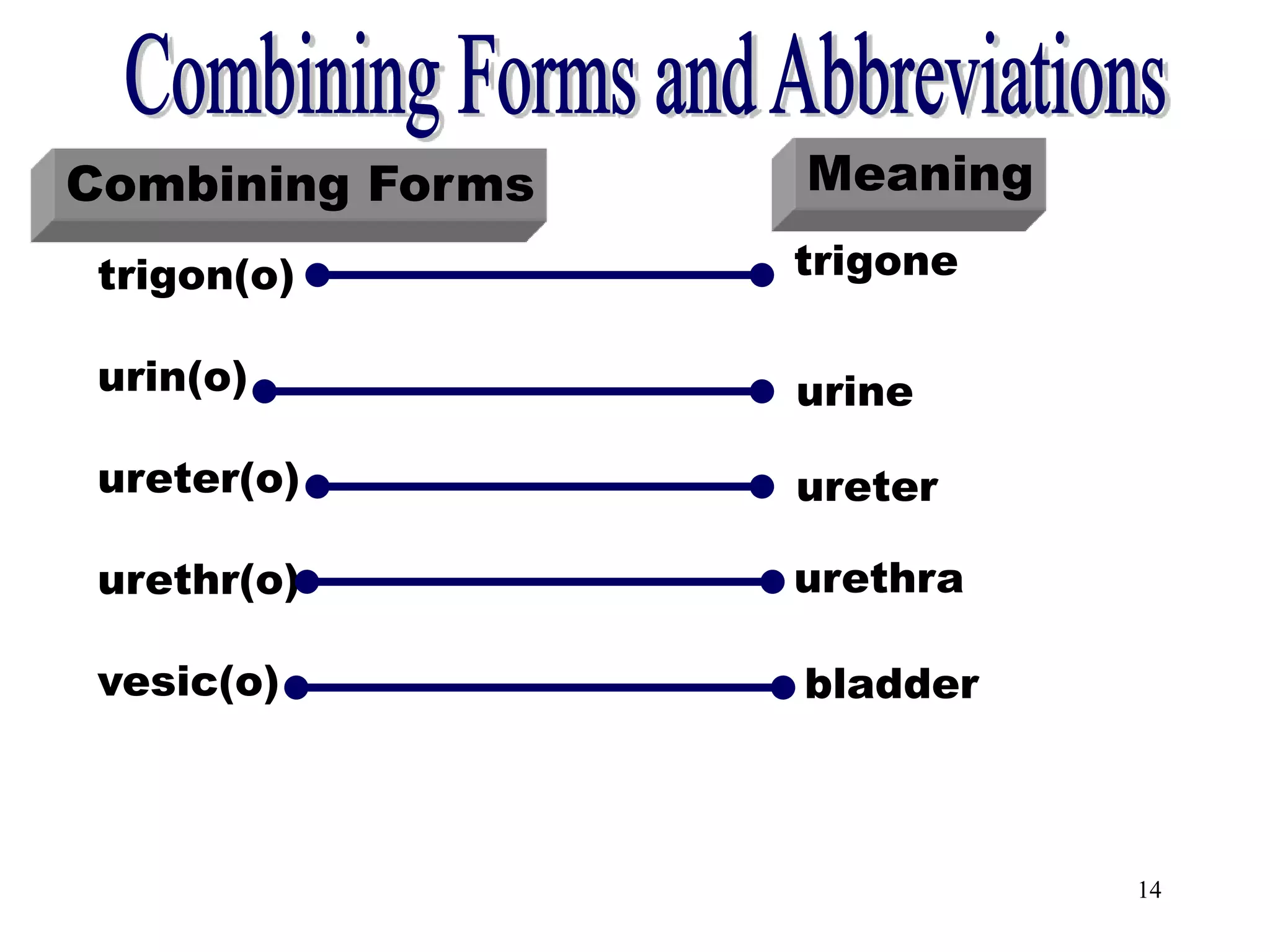 14
Combining Forms [trigon(o)]
Combining Forms Meaning
trigon(o)
urin(o)
ureter(o)
urethr(o)
vesic(o)
trigone
urine
ureter
urethra
bladder
 