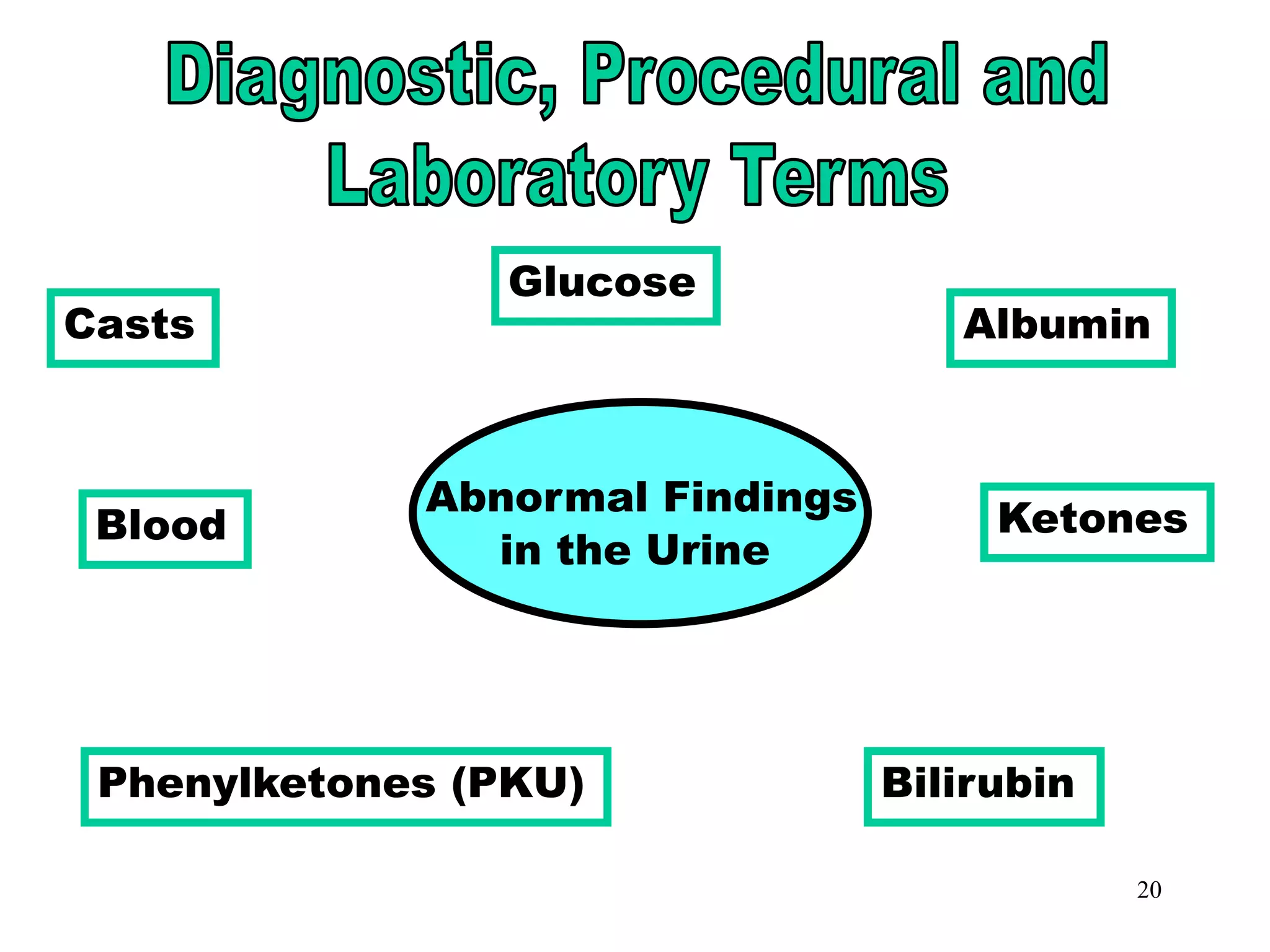 20
Abnormal Findings in Urine
Abnormal Findings
in the Urine
Casts
Glucose
Albumin
Phenylketones (PKU) Bilirubin
Blood Ketones
 