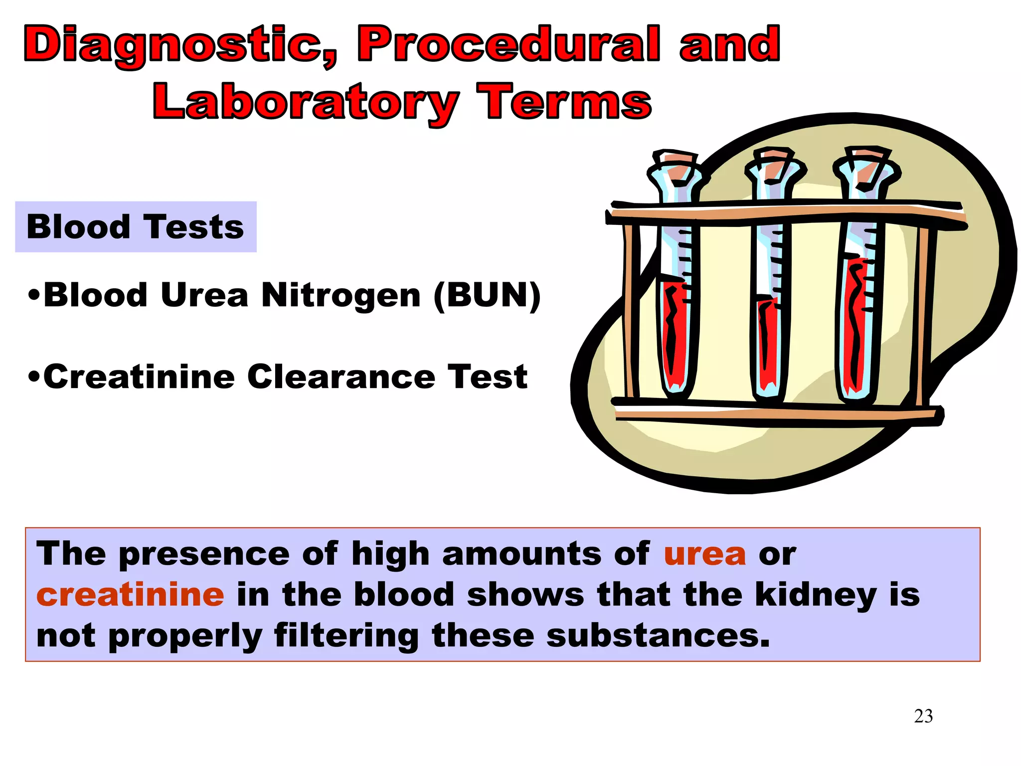 23
Blood Tests
Blood Tests
•Blood Urea Nitrogen (BUN)
•Creatinine Clearance Test
The presence of high amounts of urea or
creatinine in the blood shows that the kidney is
not properly filtering these substances.
 