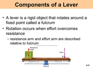 Positive Rention Lever Arm Chap09 Joints | PPT