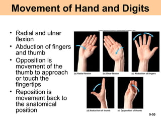 Chap09 Joints | PPT