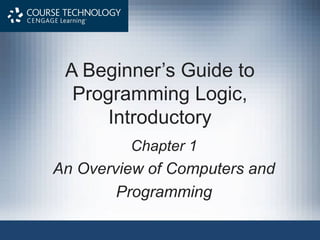 A Beginner’s Guide to
Programming Logic,
Introductory
Chapter 1

An Overview of Computers and
Programming

 