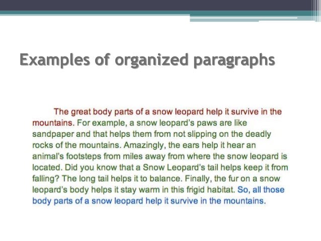 paragraph organization