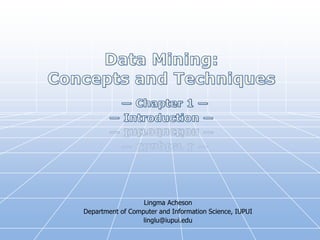 Lingma Acheson
Department of Computer and Information Science, IUPUI
linglu@iupui.edu
 