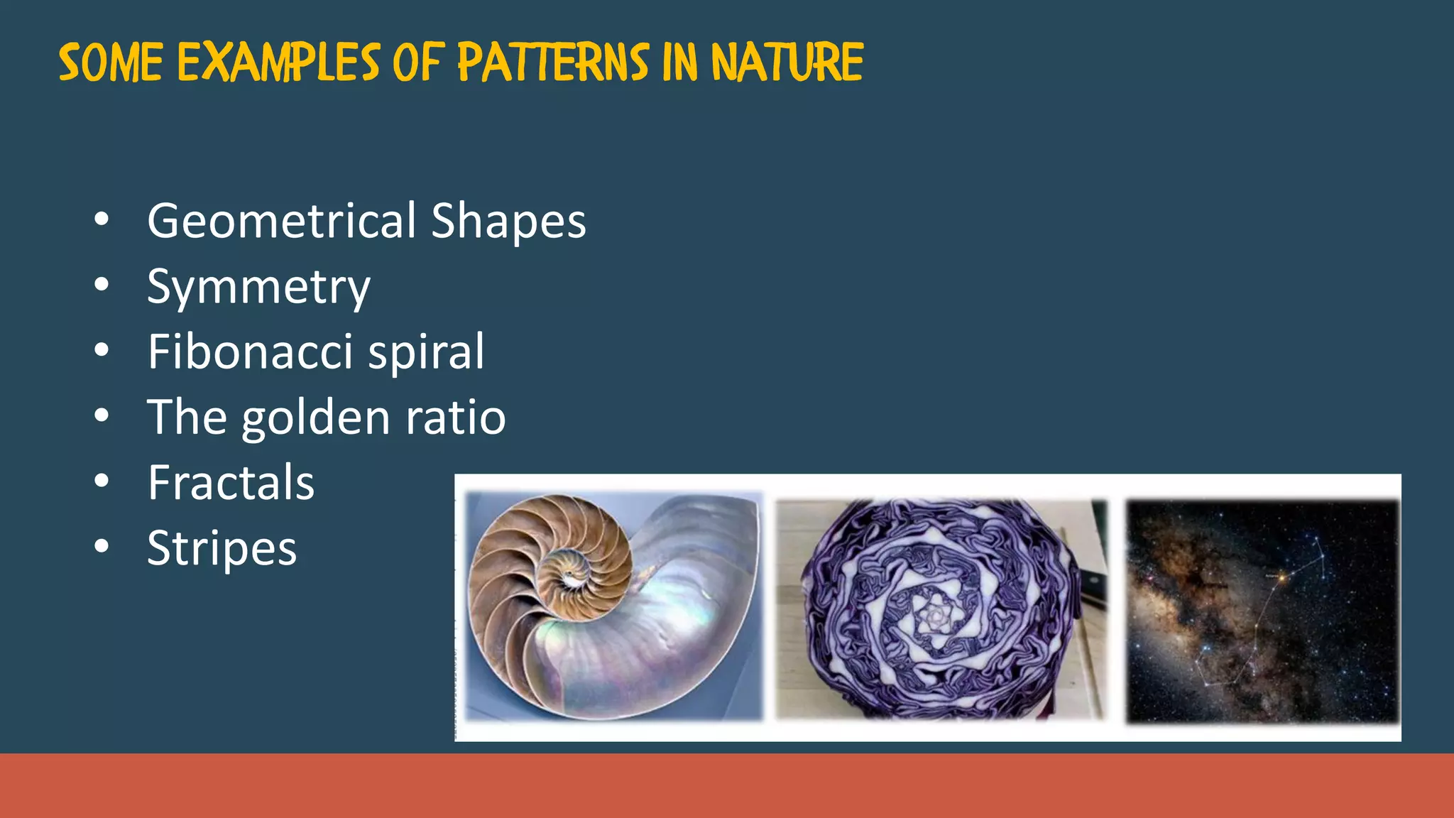 • Geometrical Shapes
• Symmetry
• Fibonacci spiral
• The golden ratio
• Fractals
• Stripes
 