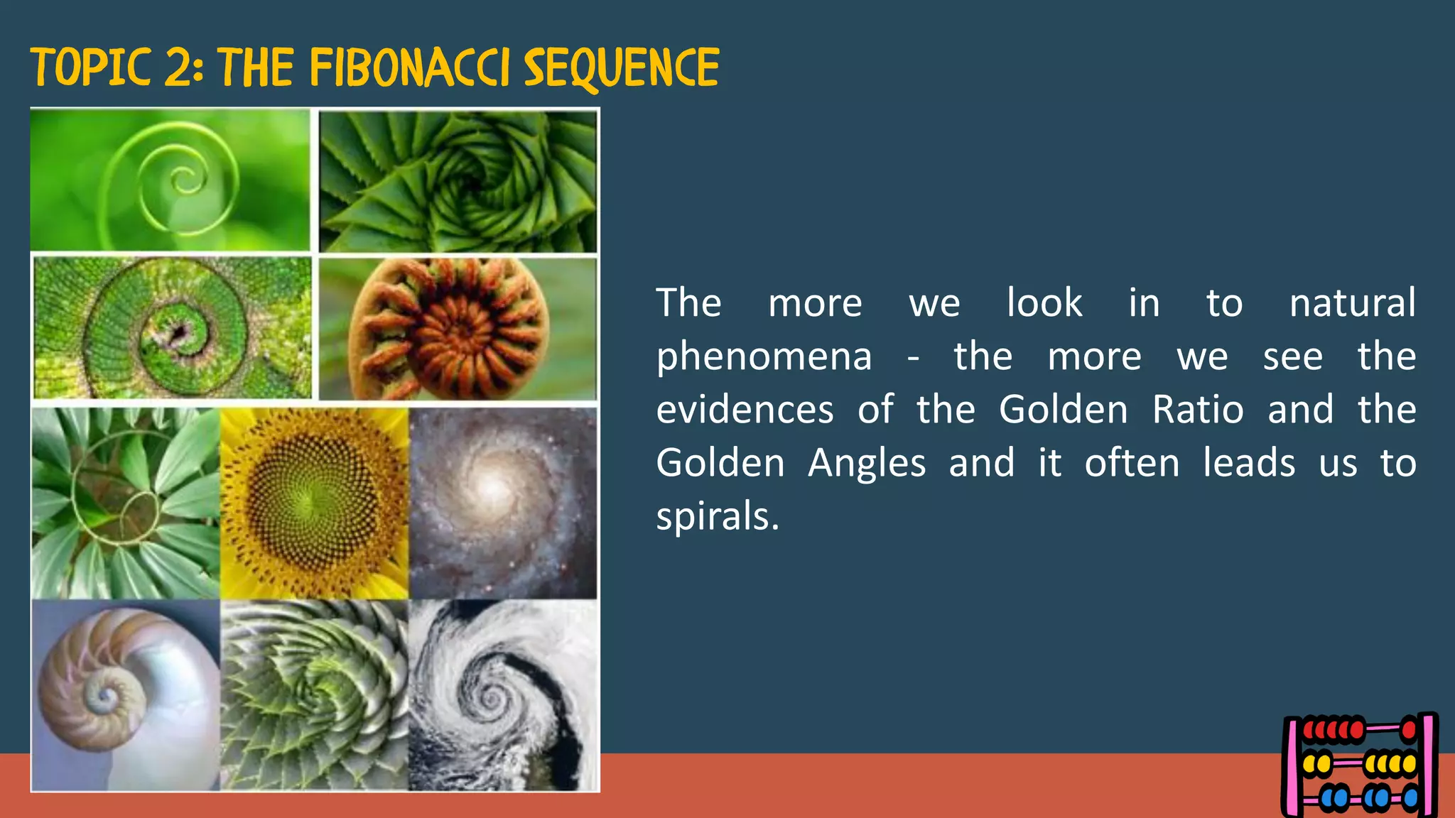 The more we look in to natural
phenomena - the more we see the
evidences of the Golden Ratio and the
Golden Angles and it often leads us to
spirals.
 