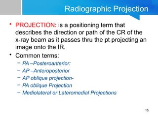 Imaging Technique Chapter 1 Positioning Terminologies | PPTX
