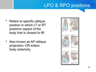 Imaging Technique Chapter 1 Positioning Terminologies | PPTX
