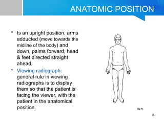 Imaging Technique Chapter 1 Positioning Terminologies | PPTX