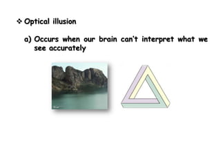  Optical illusion

  a) Occurs when our brain can’t interpret what we
     see accurately
 
