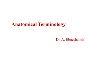 Anatomical Terminology
Dr. A. Ebneshahidi
 