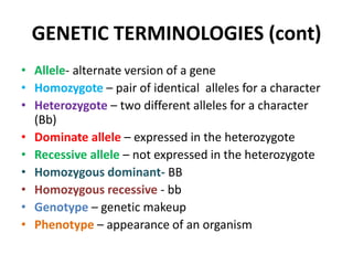 GENETIC TERMINOLOGIES (cont)
• Allele- alternate version of a gene
• Homozygote – pair of identical alleles for a character
• Heterozygote – two different alleles for a character
  (Bb)
• Dominate allele – expressed in the heterozygote
• Recessive allele – not expressed in the heterozygote
• Homozygous dominant- BB
• Homozygous recessive - bb
• Genotype – genetic makeup
• Phenotype – appearance of an organism
 