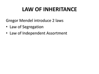 LAW OF INHERITANCE
Gregor Mendel introduce 2 laws
• Law of Segregation
• Law of Independent Assortment
 