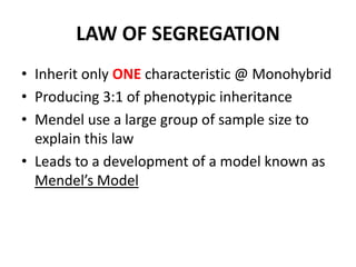 LAW OF SEGREGATION
• Inherit only ONE characteristic @ Monohybrid
• Producing 3:1 of phenotypic inheritance
• Mendel use a large group of sample size to
  explain this law
• Leads to a development of a model known as
  Mendel’s Model
 