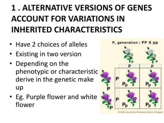 1 . ALTERNATIVE VERSIONS OF GENES
ACCOUNT FOR VARIATIONS IN
INHERITED CHARACTERISTICS
• Have 2 choices of alleles
• Existing in two version
• Depending on the
  phenotypic or characteristic
  derive in the genetic make
  up
• Eg. Purple flower and white
  flower
 