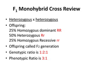 F1 Monohybrid Cross Review
• Heterozygous x heterozygous
• Offspring:
  25% Homozygous dominant RR
  50% Heterozygous Rr
  25% Homozygous Recessive rr
• Offspring called F2 generation
• Genotypic ratio is 1:2:1
• Phenotypic Ratio is 3:1
 