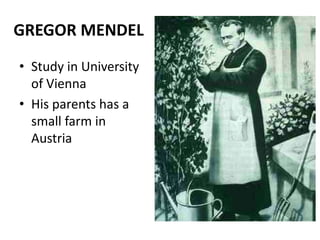 GREGOR MENDEL
• Study in University
  of Vienna
• His parents has a
  small farm in
  Austria
 