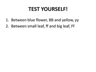 TEST YOURSELF!
1. Between blue flower, BB and yellow, yy
2. Between small leaf, ff and big leaf, Ff
 