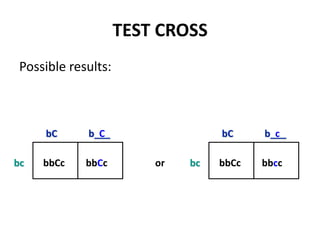 TEST CROSS
 Possible results:



     bC      b___
               C                                     bC     b___
                                                              c

bc   bbCc    bbCc          or                   bc   bbCc   bbcc




                        copyright cmassengale                      44
 