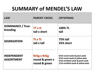 SUMMARY of MENDEL’S LAW
LAW                 PARENT CROSS      OFFSPRING

DOMINANCE / True-
                  TT x tt             100% Tt
breeding
                  tall x short        tall

                    Tt x Tt           75% tall
SEGREGATION
                    tall x tall       25% short



INDEPENDENT         RrGg x RrGg       9/16 round seeds & green pods
                                      3/16 round seeds & yellow pods
ASSORTMENT          round & green x   3/16 wrinkled seeds & green pods
                    round & green     1/16 wrinkled seeds & yellow pods
 