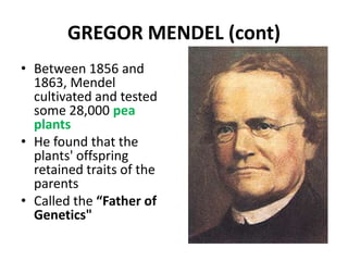 GREGOR MENDEL (cont)
• Between 1856 and
  1863, Mendel
  cultivated and tested
  some 28,000 pea
  plants
• He found that the
  plants' offspring
  retained traits of the
  parents
• Called the “Father of
  Genetics"
 