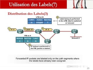 Distribution des Labels(3)
23
 