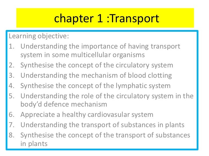 Electronic Mapping System - Chapter1 Essay
