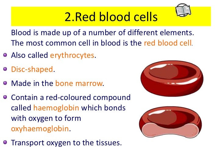 chap 1 transport form 5 how do cells form