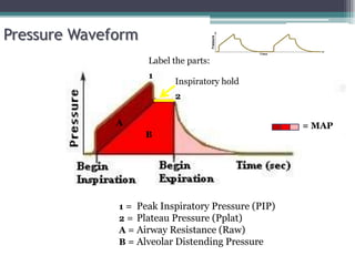 A
B
1
2
Inspiratory hold
= MAP
Peak Inspiratory Pressure (PIP)
Plateau Pressure (Pplat)
Airway Resistance (Raw)
Alveolar Distending Pressure
1 =
2 =
A =
B =
Label the parts:
Pressure Waveform
 
