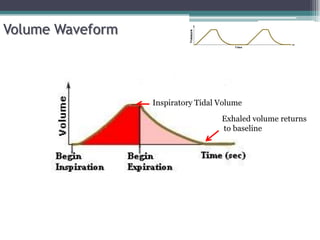 Inspiratory Tidal Volume
Exhaled volume returns
to baseline
Volume Waveform
 