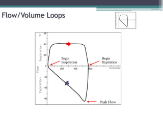 Flow/Volume Loops
0
200 400 600
20
40
60
-20
-40
-60
Peak Flow
Begin
Inspiration
Begin
Expiration
 