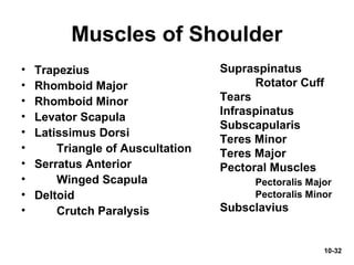 10-32
Muscles of Shoulder
• Trapezius
• Rhomboid Major
• Rhomboid Minor
• Levator Scapula
• Latissimus Dorsi
• Triangle of Auscultation
• Serratus Anterior
• Winged Scapula
• Deltoid
• Crutch Paralysis
Supraspinatus
Rotator Cuff
Tears
Infraspinatus
Subscapularis
Teres Minor
Teres Major
Pectoral Muscles
Pectoralis Major
Pectoralis Minor
Subsclavius
 