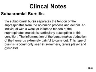 10-48
Subacromial Bursitis-
the subacromial bursa separates the tendon of the
supraspinatus from the acromion process and deltoid. An
individual with a weak or inflamed tendon of the
supraspinatus muscle is particularly susceptible to this
condition. The inflammation of the bursa makes abduction
of the humerus extremely painful to carry out. This type of
bursitis is commonly seen in swimmers, tennis player and
gymnasts.
Clincal Notes
 