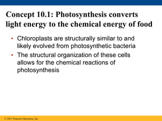 Concept 10.1: Photosynthesis converts
light energy to the chemical energy of food
• Chloroplasts are structurally similar to and
likely evolved from photosynthetic bacteria
• The structural organization of these cells
allows for the chemical reactions of
photosynthesis
© 2011 Pearson Education, Inc.
 