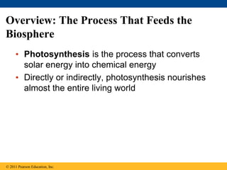 Overview: The Process That Feeds the
Biosphere
• Photosynthesis is the process that converts
solar energy into chemical energy
• Directly or indirectly, photosynthesis nourishes
almost the entire living world
© 2011 Pearson Education, Inc.
 