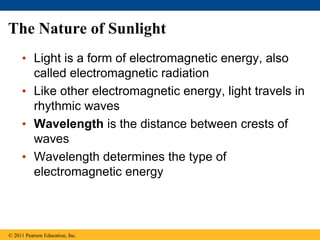 The Nature of Sunlight
• Light is a form of electromagnetic energy, also
called electromagnetic radiation
• Like other electromagnetic energy, light travels in
rhythmic waves
• Wavelength is the distance between crests of
waves
• Wavelength determines the type of
electromagnetic energy
© 2011 Pearson Education, Inc.
 