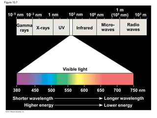 Figure 10.7
Gamma
rays
X-rays UV Infrared
Micro-
waves
Radio
waves
Visible light
Shorter wavelength Longer wavelength
Lower energy
Higher energy
380 450 500 550 600 650 700 750 nm
105 nm 103 nm 1 nm 103 nm 106 nm (109 nm) 103 m
1 m
 